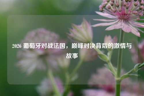 2026 葡萄牙对战法国，巅峰对决背后的激情与故事
