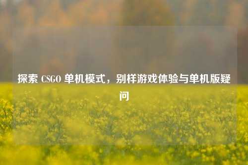 探索 CSGO 单机模式，别样游戏体验与单机版疑问
