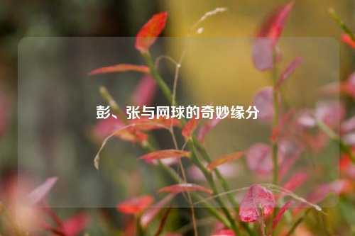 彭、张与网球的奇妙缘分