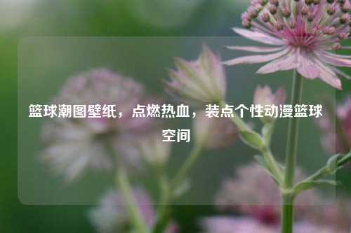 篮球潮图壁纸，点燃热血，装点个性动漫篮球空间