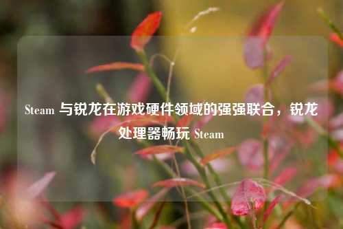 Steam 与锐龙在游戏硬件领域的强强联合，锐龙处理器畅玩 Steam