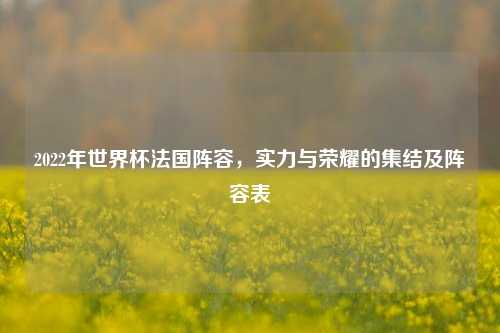 2022年世界杯法国阵容，实力与荣耀的集结及阵容表