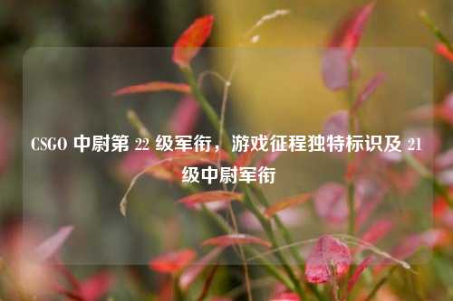 CSGO 中尉第 22 级军衔，游戏征程独特标识及 21 级中尉军衔