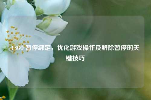 CSGO 暂停绑定，优化游戏操作及解除暂停的关键技巧