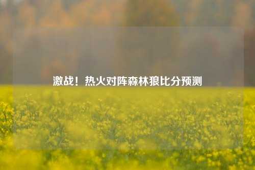 激战！热火对阵森林狼比分预测