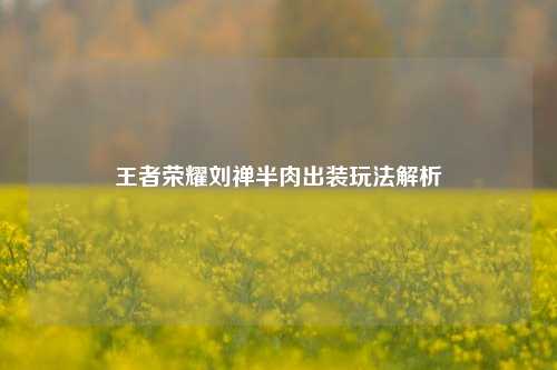 王者荣耀刘禅半肉出装玩法解析