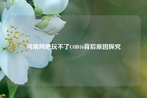 河南网吧玩不了COD16背后原因探究