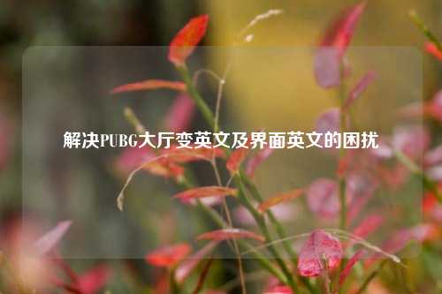 解决PUBG大厅变英文及界面英文的困扰
