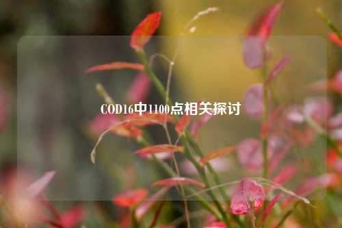 COD16中1100点相关探讨