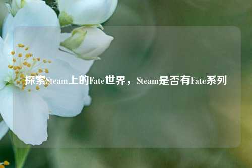 探索Steam上的Fate世界，Steam是否有Fate系列