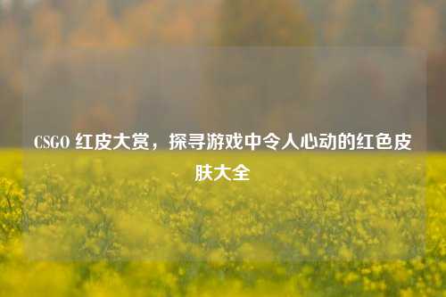 CSGO 红皮大赏，探寻游戏中令人心动的红色皮肤大全