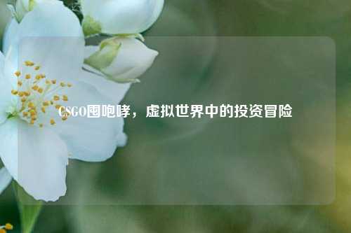 CSGO囤咆哮，虚拟世界中的投资冒险