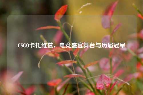 CSGO卡托维兹，电竞盛宴舞台与历届冠军
