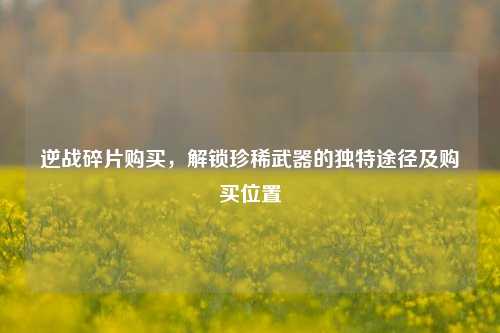 逆战碎片购买，解锁珍稀武器的独特途径及购买位置