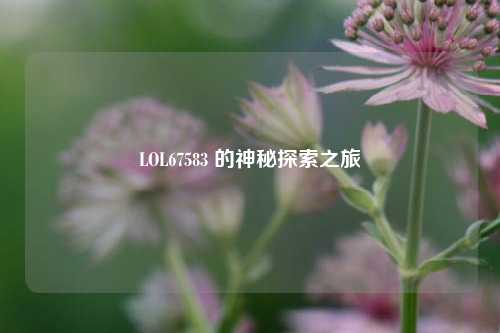 LOL67583 的神秘探索之旅