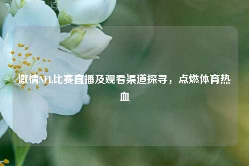 激情NFL比赛直播及观看渠道探寻，点燃体育热血