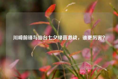 川崎前锋与仙台七夕绿茵激战，谁更厉害？