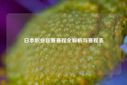 日本职业联赛赛程全解析与赛程表
