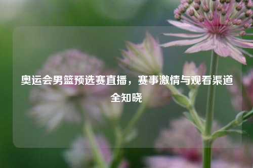 奥运会男篮预选赛直播，赛事激情与观看渠道全知晓