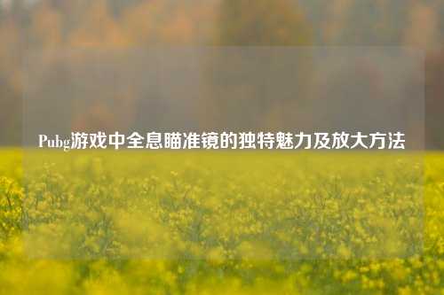 Pubg游戏中全息瞄准镜的独特魅力及放大方法