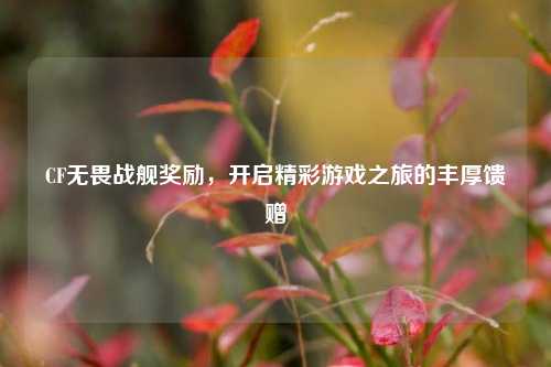 CF无畏战舰奖励，开启精彩游戏之旅的丰厚馈赠