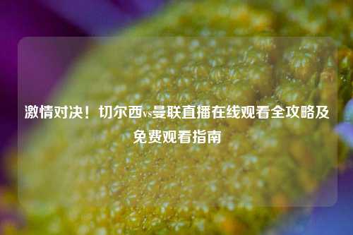 激情对决！切尔西vs曼联直播在线观看全攻略及免费观看指南