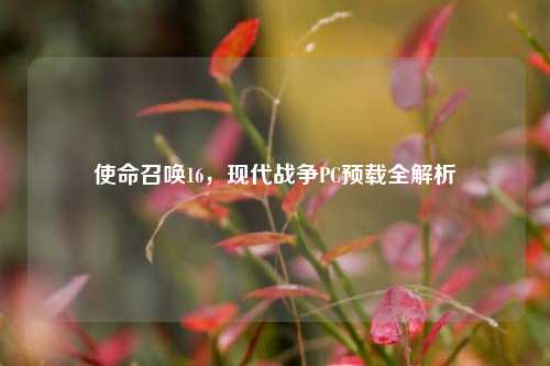 使命召唤16，现代战争PC预载全解析