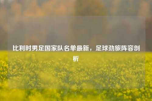 比利时男足国家队名单最新，足球劲旅阵容剖析