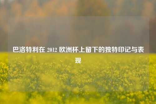 巴洛特利在 2012 欧洲杯上留下的独特印记与表现