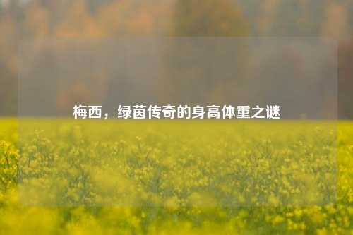 梅西，绿茵传奇的身高体重之谜