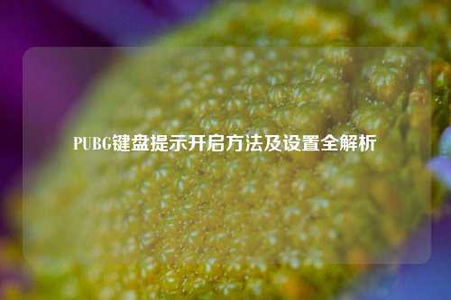 PUBG键盘提示开启方法及设置全解析