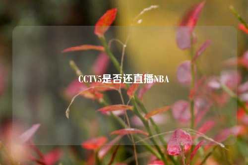 CCTV5是否还直播NBA