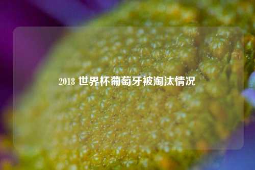 2018 世界杯葡萄牙被淘汰情况