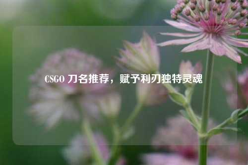 CSGO 刀名推荐，赋予利刃独特灵魂