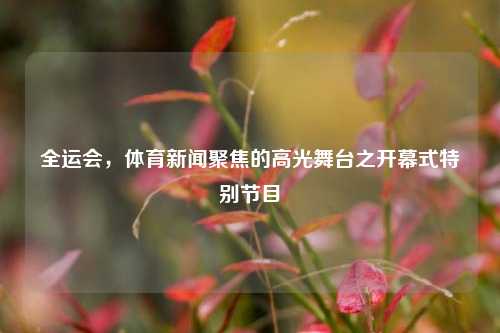 全运会，体育新闻聚焦的高光舞台之开幕式特别节目