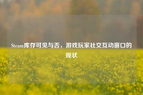 Steam库存可见与否，游戏玩家社交互动窗口的现状