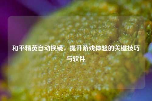 和平精英自动换镜，提升游戏体验的关键技巧与软件